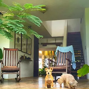 El Hotelito At The Rainforest Experience Farm Hotel